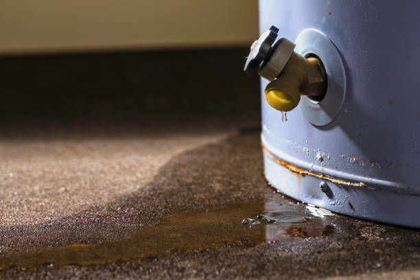 Best Professional water damage repair  in Jackson, OH