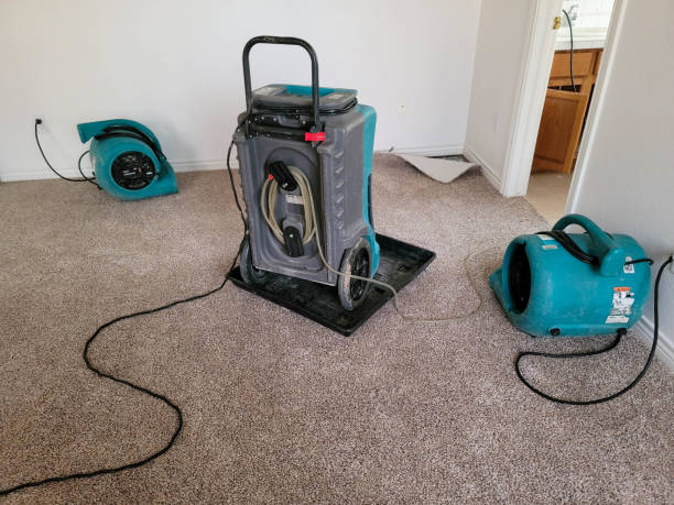 Best Water damage restoration near me  in Jackson, OH