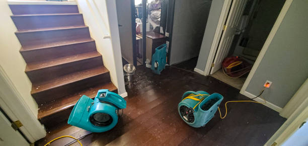 Best Emergency water damage restoration  in Jackson, OH