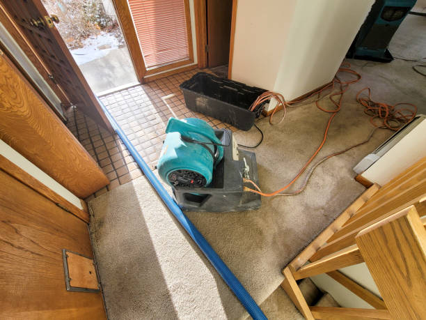  Jackson, OH Water damage restoration Pros