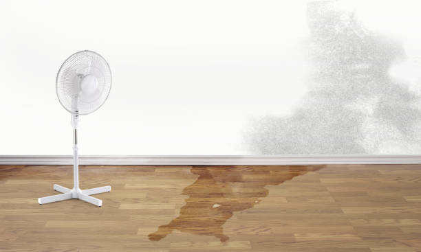 Best Water damage restoration near me  in Jackson, OH