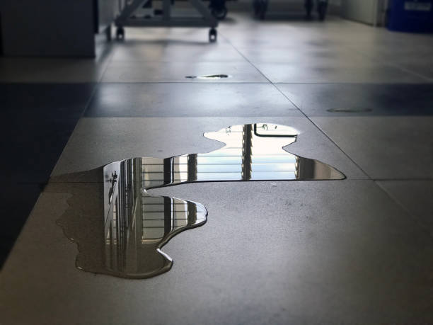 Best Water damage restoration company  in Jackson, OH