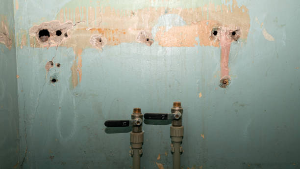 Best 24/7 water damage repair  in Jackson, OH