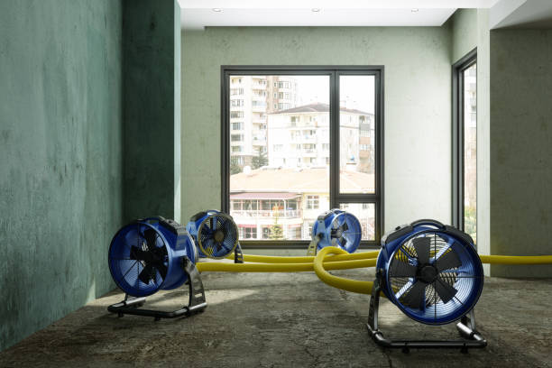 Best Ceiling water damage repair  in Jackson, OH